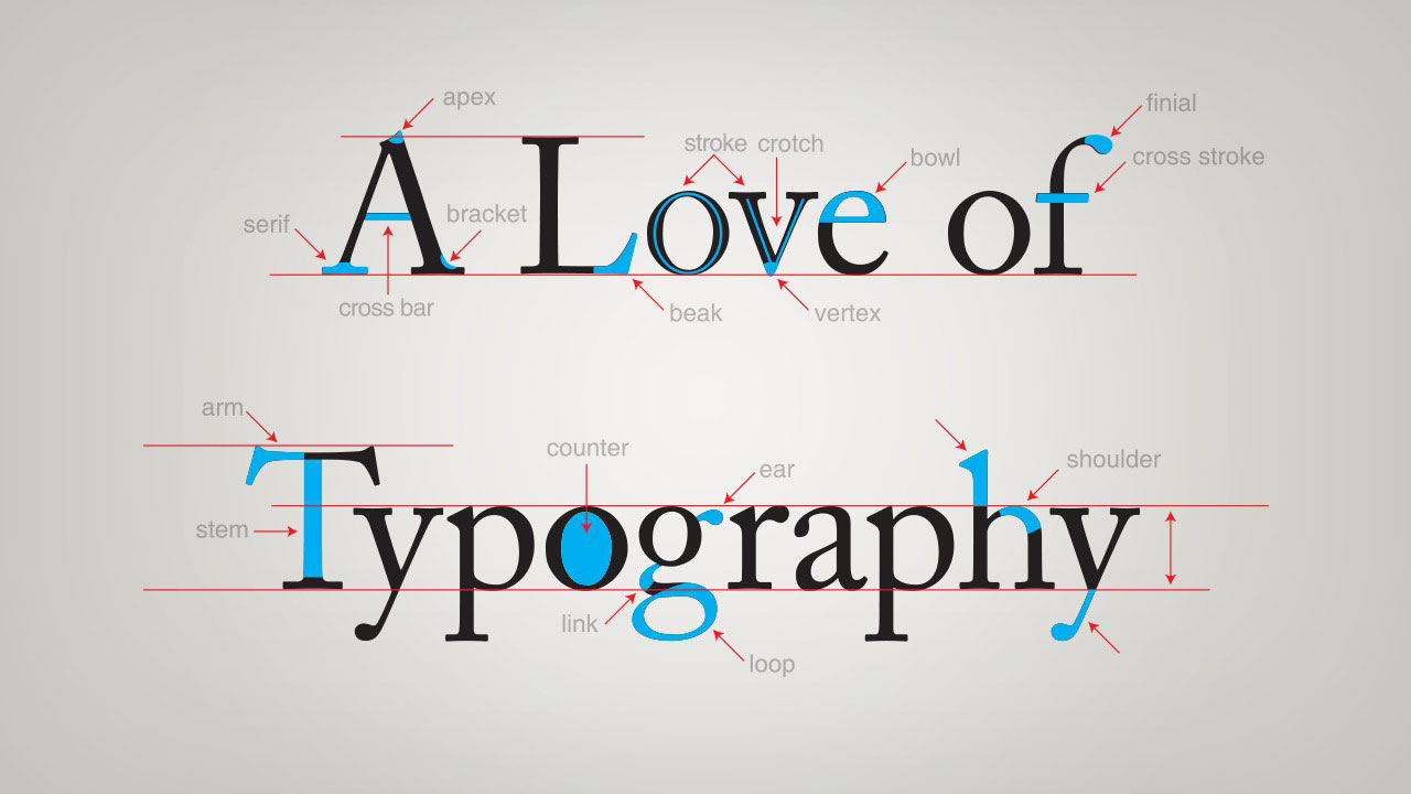 Everything You Need to Know About Online Typography