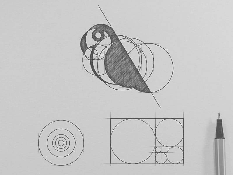 Sketching Logos Using The Golden Ratio