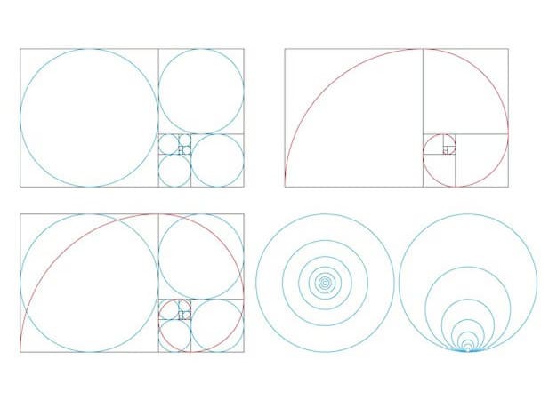 The Golden Ratio - Golden Circles